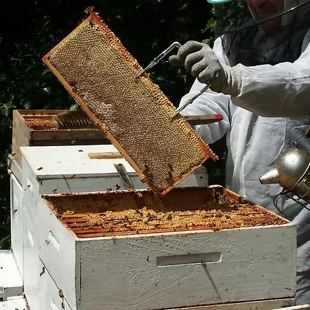 Hébergement de vacances La Maison Du Lac