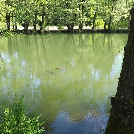Hébergement de vacances La Maison Du Lac