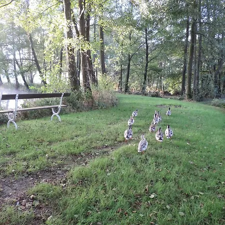 La Maison Du Lac Hébergement de vacances Rocroi