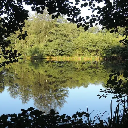 Hébergement de vacances La Maison Du Lac Rocroi