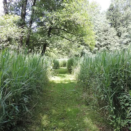 Hébergement de vacances La Maison Du Lac Rocroi
