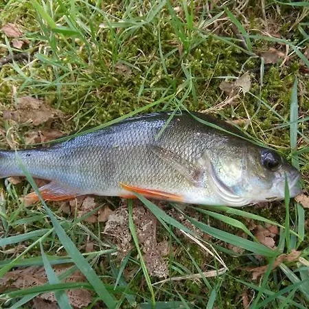 La Maison Du Lac Hébergement de vacances