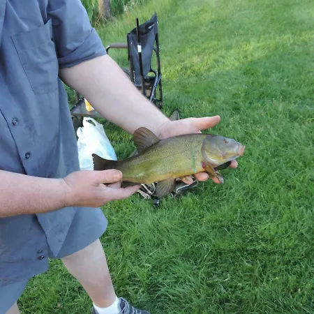 Hébergement de vacances La Maison Du Lac Rocroi