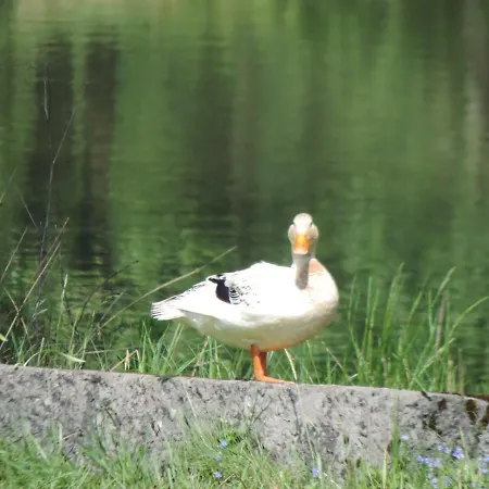 La Maison Du Lac Hébergement de vacances Rocroi